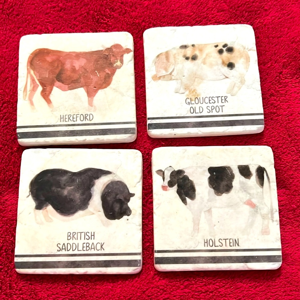 English Farm Animals Cows & Pigs Stone Coasters Set of 4
